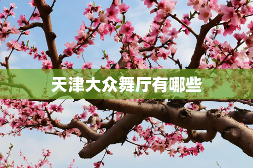 天津大众舞厅有哪些