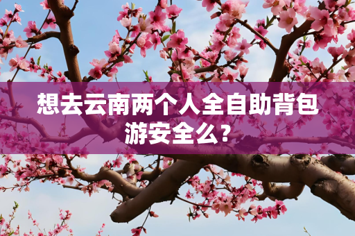 想去云南两个人全自助背包游安全么？