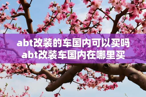 abt改装的车国内可以买吗abt改装车国内在哪里买