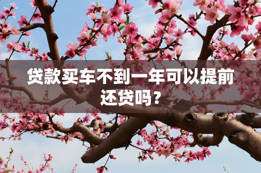贷款买车不到一年可以提前还贷吗？