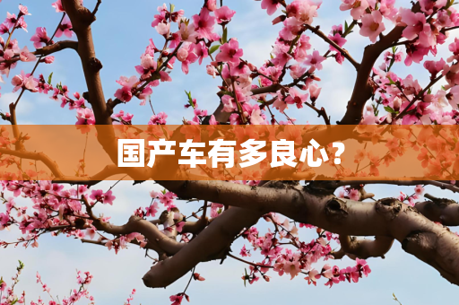 国产车有多良心？