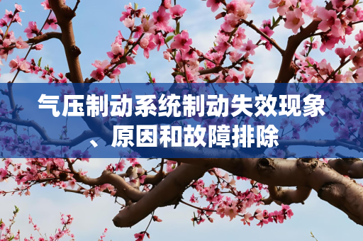 气压制动系统制动失效现象、原因和故障排除