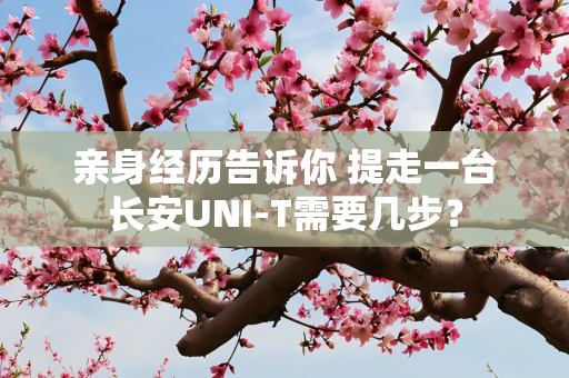 亲身经历告诉你 提走一台长安UNI-T需要几步？