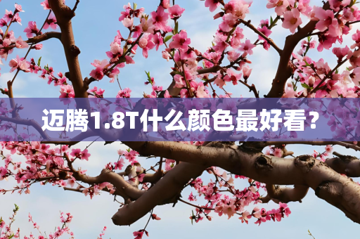 迈腾1.8T什么颜色最好看？