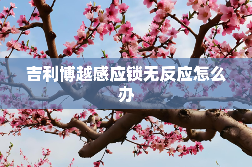吉利博越感应锁无反应怎么办