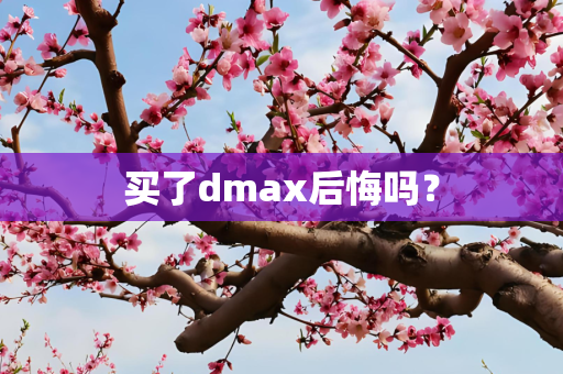 买了dmax后悔吗？