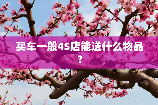买车一般4S店能送什么物品？