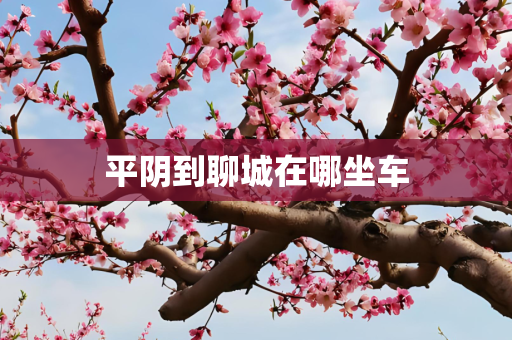 平阴到聊城在哪坐车