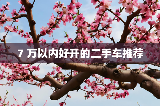 7 万以内好开的二手车推荐