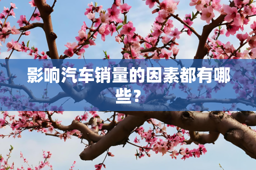 影响汽车销量的因素都有哪些？