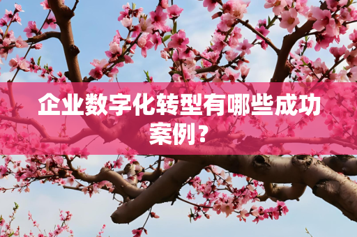 企业数字化转型有哪些成功案例？