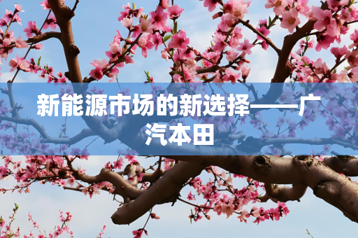 新能源市场的新选择——广汽本田