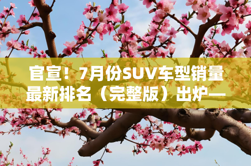 官宣！7月份SUV车型销量最新排名（完整版）出炉——1-241名！