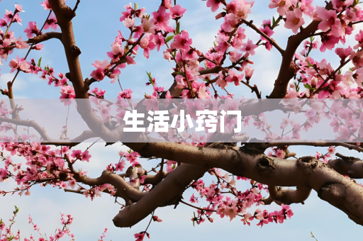 生活小窍门