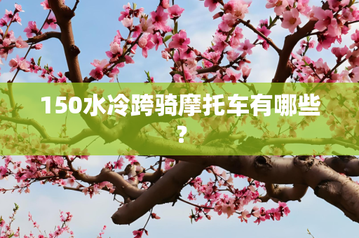 150水冷跨骑摩托车有哪些？