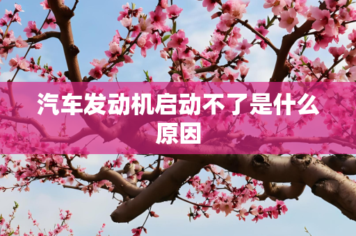 汽车发动机启动不了是什么原因