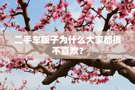 二手车贩子为什么大家都很不喜欢？
