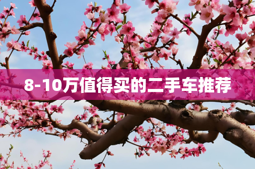 8-10万值得买的二手车推荐