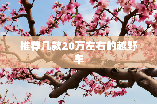 推荐几款20万左右的越野车