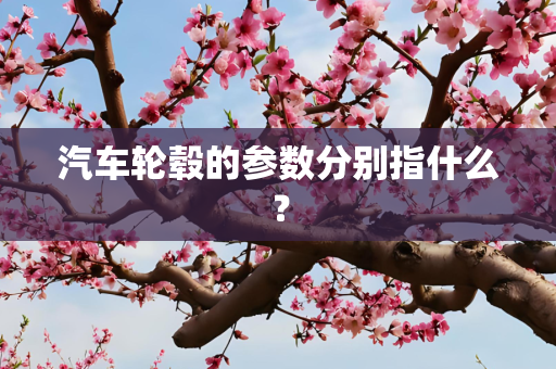 汽车轮毂的参数分别指什么？