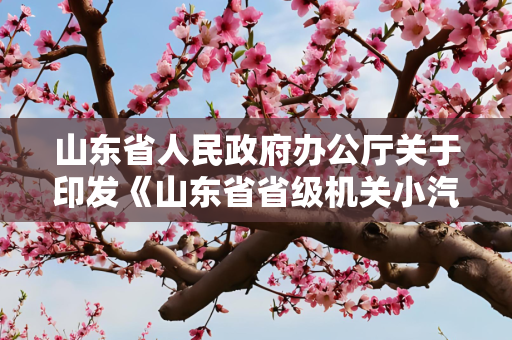 山东省人民政府办公厅关于印发《山东省省级机关小汽车定编配备和使用管理办法》的通知