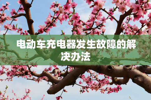 电动车充电器发生故障的解决办法