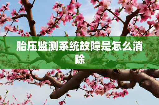 胎压监测系统故障是怎么消除