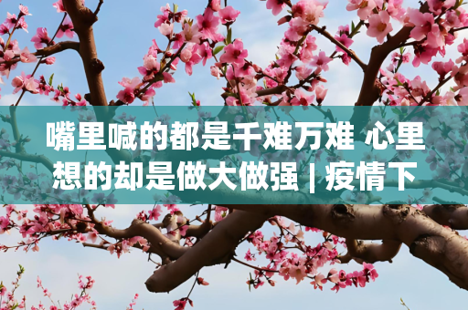 嘴里喊的都是千难万难 心里想的却是做大做强 | 疫情下的中国汽车