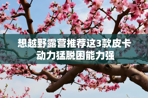 想越野露营推荐这3款皮卡 动力猛脱困能力强