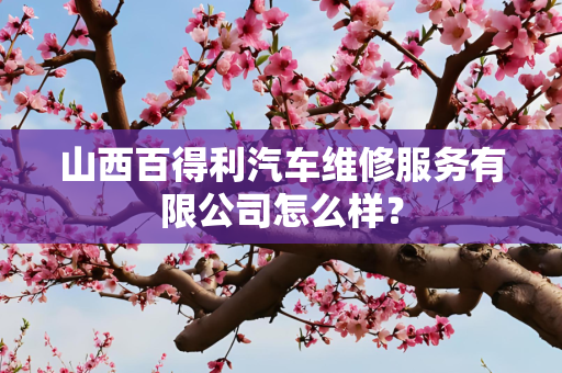 山西百得利汽车维修服务有限公司怎么样？