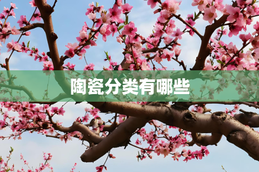 陶瓷分类有哪些