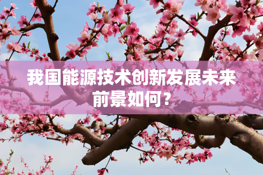 我国能源技术创新发展未来前景如何？