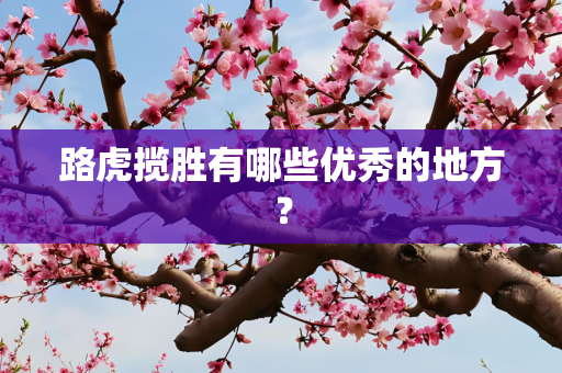 路虎揽胜有哪些优秀的地方？