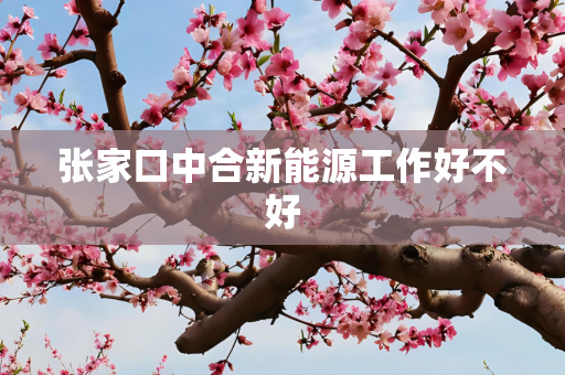 张家口中合新能源工作好不好