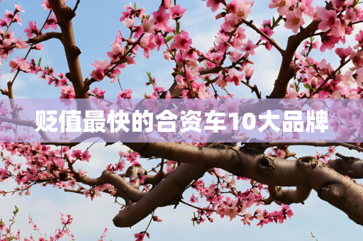 贬值最快的合资车10大品牌