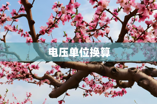 电压单位换算