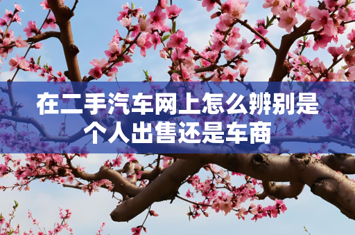 在二手汽车网上怎么辨别是个人出售还是车商