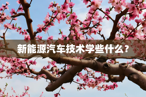 新能源汽车技术学些什么？
