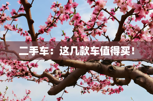 二手车：这几款车值得买！