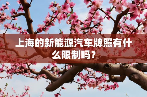 上海的新能源汽车牌照有什么限制吗？