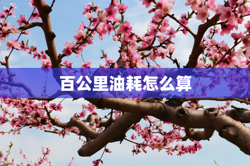 百公里油耗怎么算