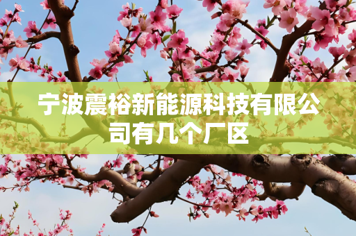 宁波震裕新能源科技有限公司有几个厂区