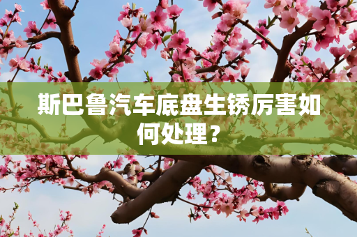 斯巴鲁汽车底盘生锈厉害如何处理？