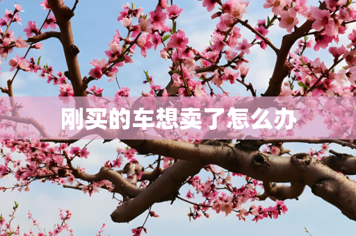 刚买的车想卖了怎么办