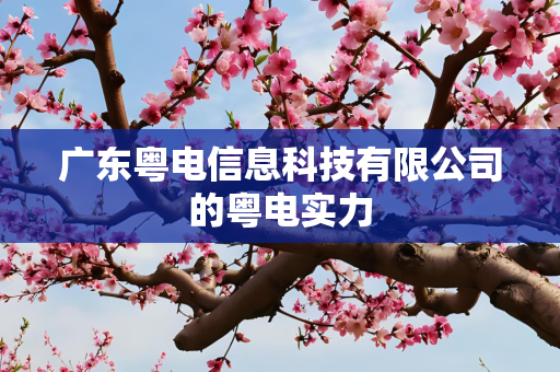 广东粤电信息科技有限公司的粤电实力