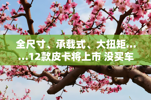 全尺寸、承载式、大扭矩……12款皮卡将上市 没买车再等等