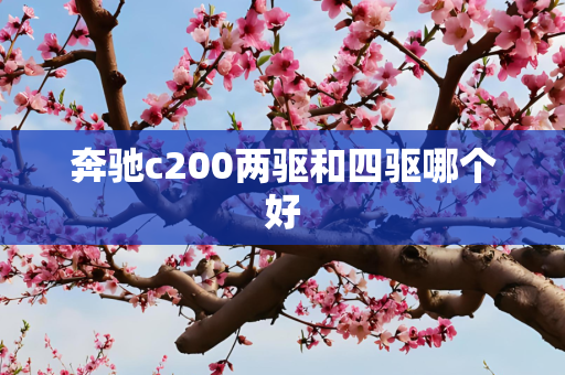 奔驰c200两驱和四驱哪个好