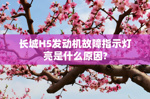 长城H5发动机故障指示灯亮是什么原因?