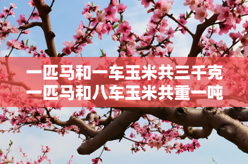 一匹马和一车玉米共三千克一匹马和八车玉米共重一吨你知道一车玉