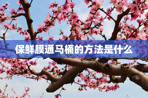 保鲜膜通马桶的方法是什么